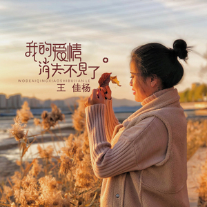 最新AV在线免费播放
